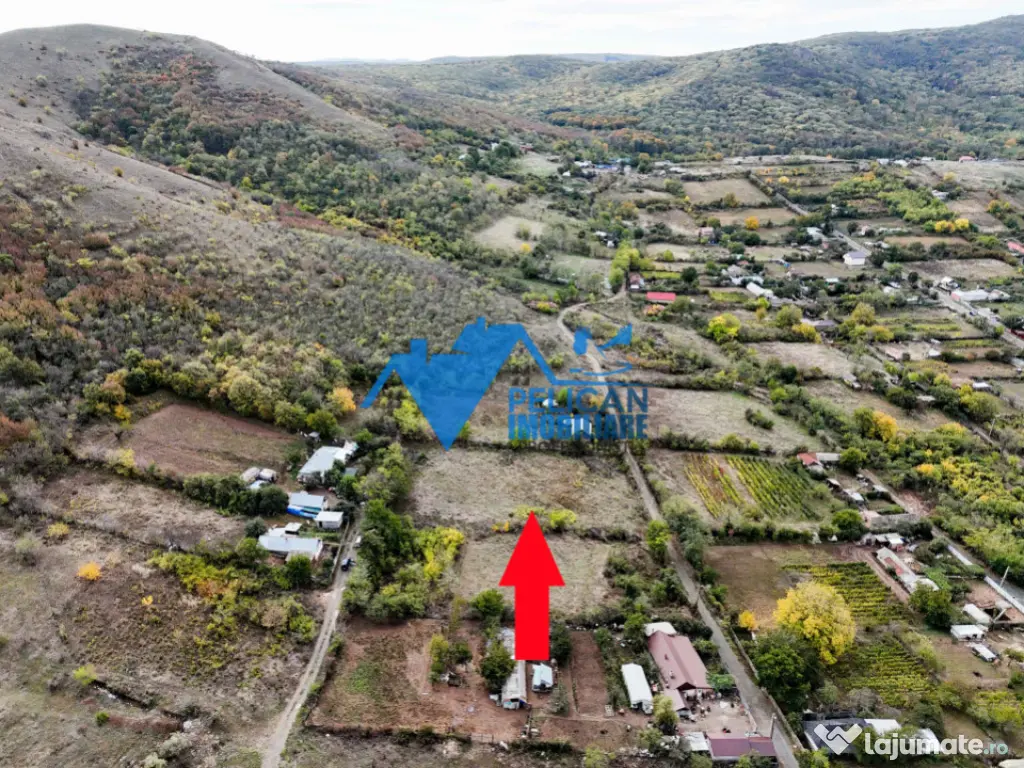 Teren intravilan NICULITEL, zona deosebita, 3044MP