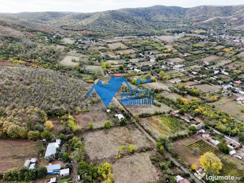 Teren intravilan NICULITEL, zona deosebita, 3044MP