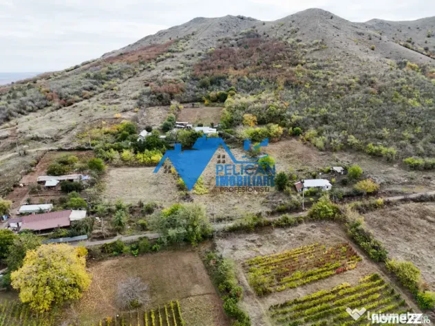 Teren intravilan NICULITEL, zona deosebita, 3044MP