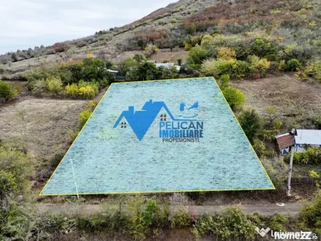 Teren intravilan NICULITEL, zona deosebita, 3044MP
