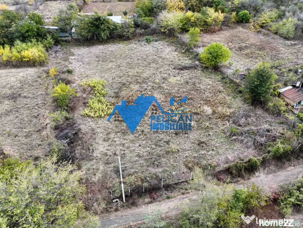 Teren intravilan NICULITEL, zona deosebita, 3044MP