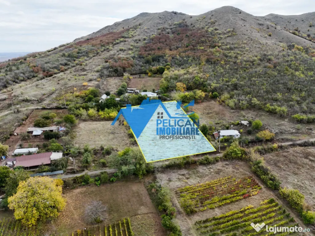 Teren intravilan NICULITEL, zona deosebita, 3044MP