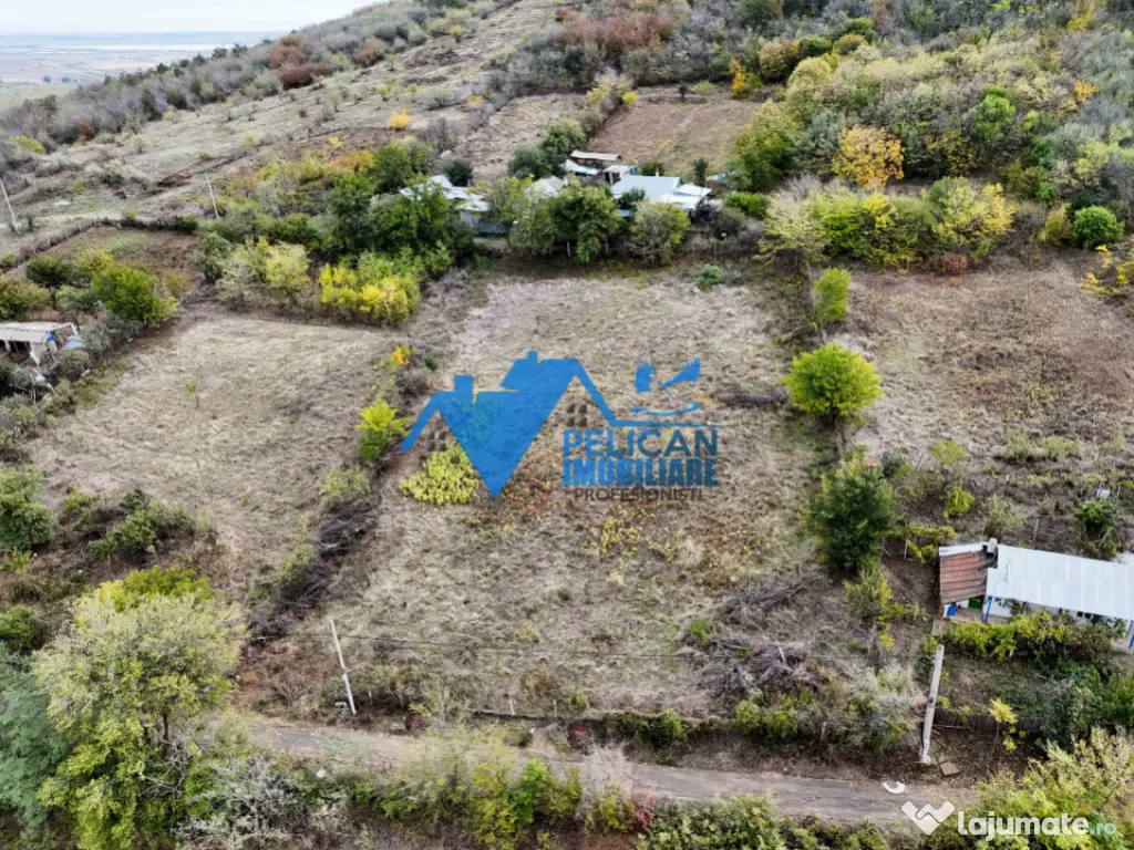 Teren intravilan NICULITEL, zona deosebita, 3044MP