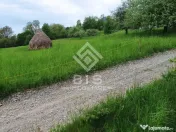 Teren 37.5 ari intravilan 