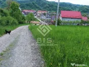 Teren 37.5 ari intravilan 