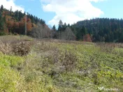 Predeal-Teren intravilan situat in Paraul Rece 