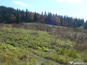 Predeal-Teren intravilan situat in Paraul Rece 