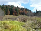 Predeal-Teren intravilan situat in Paraul Rece 