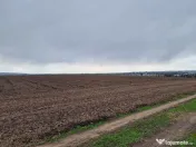 Teren 10,000mp Bacau / Strada Alexandru Safran 