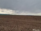 Teren 10,000mp Bacau / Strada Alexandru Safran 