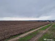 Teren 10,000mp Bacau / Strada Alexandru Safran 