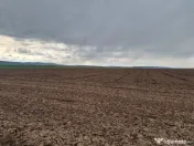 Teren 10,000mp Bacau / Strada Alexandru Safran 