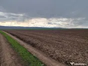 Teren 10,000mp Bacau / Strada Alexandru Safran 