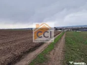 Teren 10,000mp Bacau / Strada Alexandru Safran