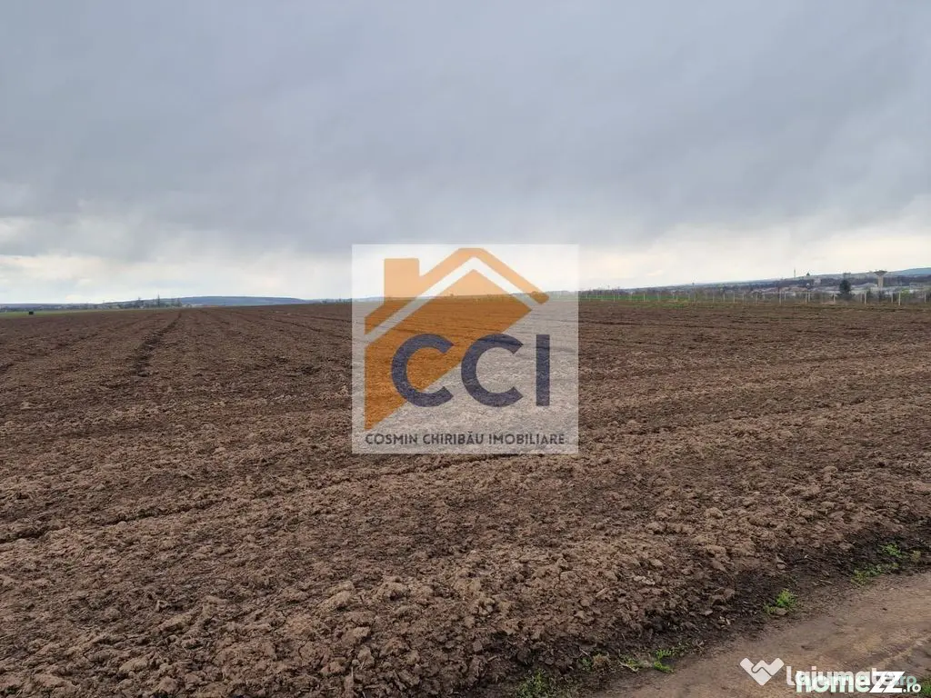 Teren 10,000mp Bacau / Strada Alexandru Safran - Bacau (Bacau)