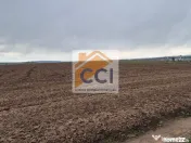Teren 10,000mp Bacau / Strada Alexandru Safran