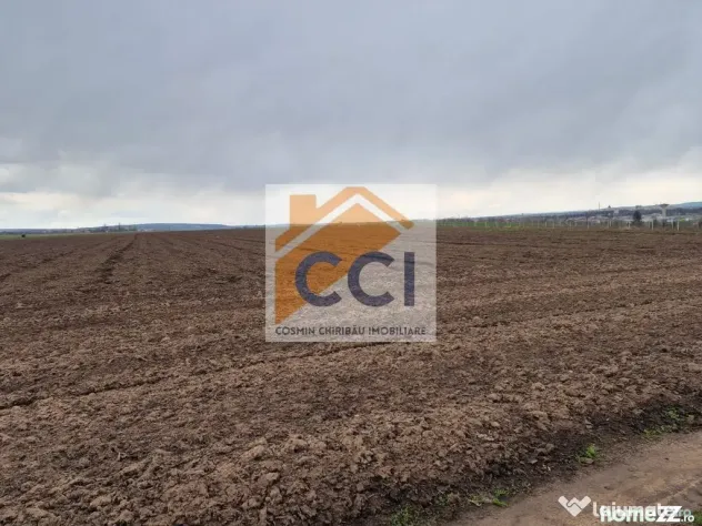 Teren 10,000mp Bacau / Strada Alexandru Safran - Bacau (Bacau)