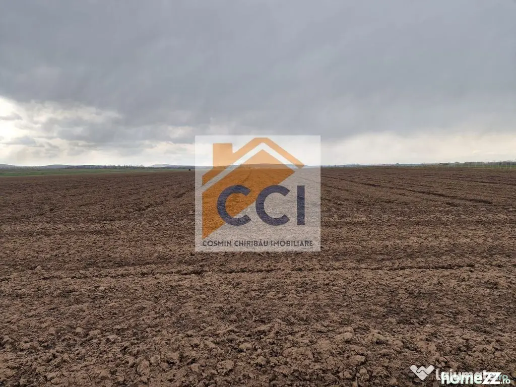 Teren 10,000mp Bacau / Strada Alexandru Safran - Bacau (Bacau)