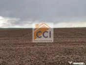 Teren 10,000mp Bacau / Strada Alexandru Safran