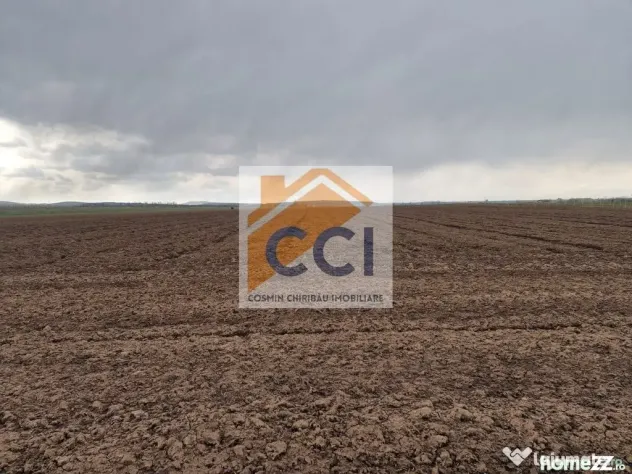 Teren 10,000mp Bacau / Strada Alexandru Safran - Bacau (Bacau)