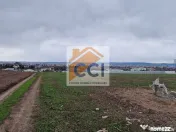 Teren 10,000mp Bacau / Strada Alexandru Safran