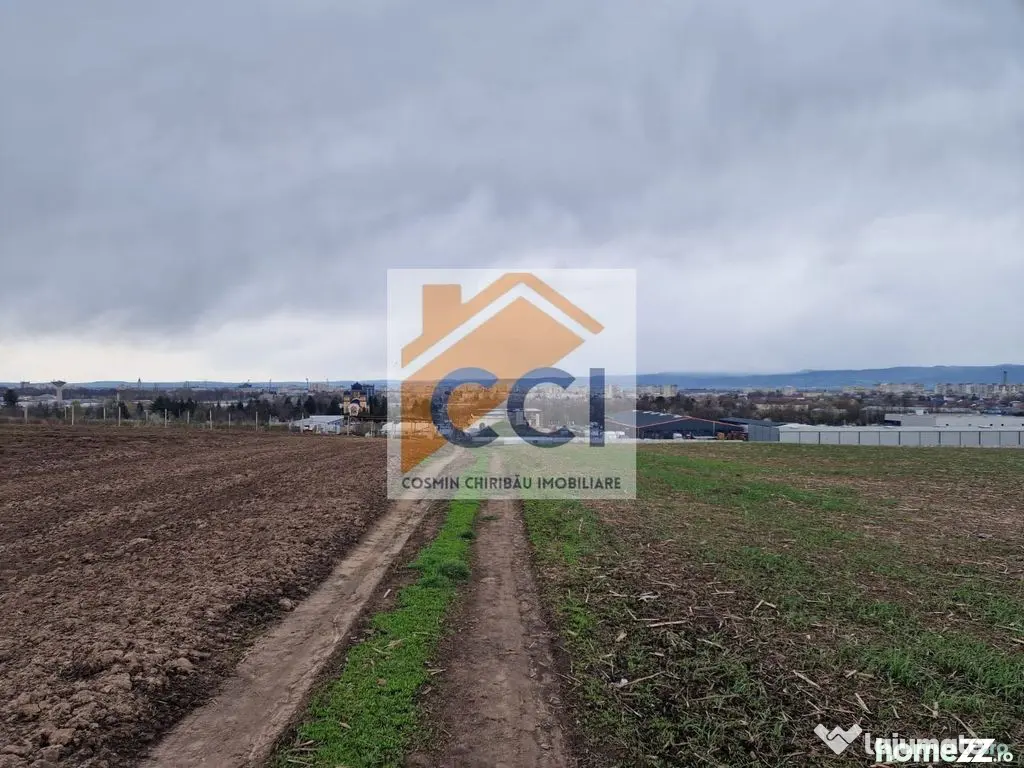 Teren 10,000mp Bacau / Strada Alexandru Safran - Bacau (Bacau)