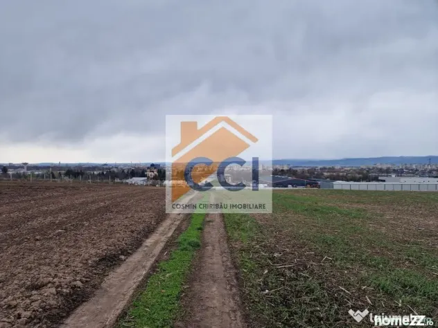 Teren 10,000mp Bacau / Strada Alexandru Safran - Bacau (Bacau)