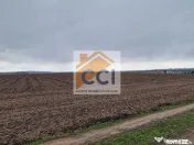 Teren 10,000mp Bacau / Strada Alexandru Safran