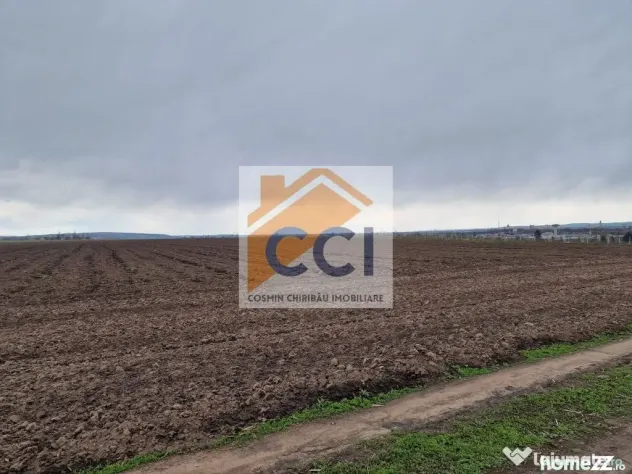 Teren 10,000mp Bacau / Strada Alexandru Safran - Bacau (Bacau)