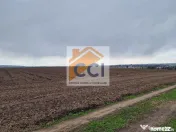 Teren 10,000mp Bacau / Strada Alexandru Safran