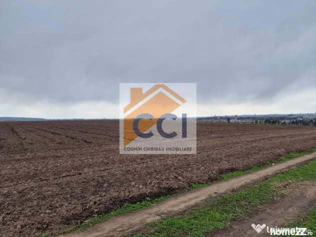 Teren 10,000mp Bacau / Strada Alexandru Safran - Bacau (Bacau)