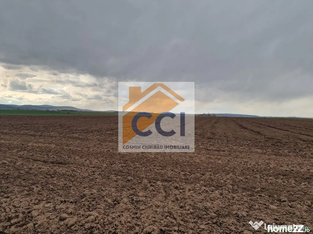 Teren 10,000mp Bacau / Strada Alexandru Safran - Bacau (Bacau)