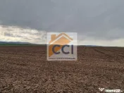 Teren 10,000mp Bacau / Strada Alexandru Safran