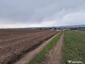 Teren 10,000mp Bacau / Strada Alexandru Safran 