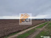 Teren 10,000mp Bacau / Strada Alexandru Safran