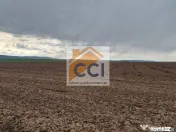 Teren 10,000mp Bacau / Strada Alexandru Safran