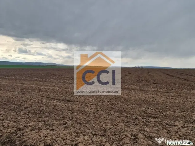 Teren 10,000mp Bacau / Strada Alexandru Safran - Bacau (Bacau)