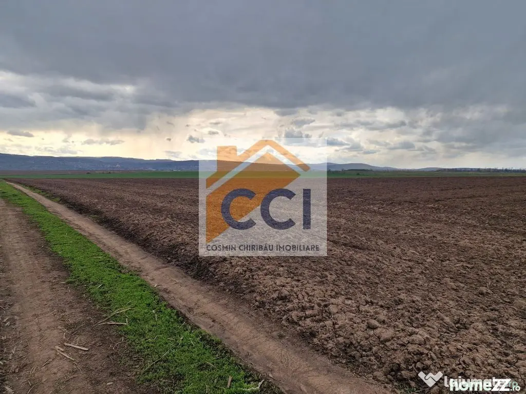 Teren 10,000mp Bacau / Strada Alexandru Safran - Bacau (Bacau)