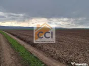 Teren 10,000mp Bacau / Strada Alexandru Safran