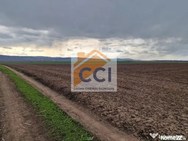 Teren 10,000mp Bacau / Strada Alexandru Safran - Bacau (Bacau)