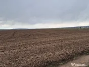 Teren 10,000mp Bacau / Strada Alexandru Safran 