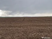 Teren 10,000mp Bacau / Strada Alexandru Safran 