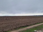 Teren 10,000mp Bacau / Strada Alexandru Safran 