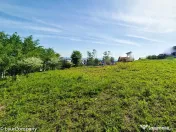 Teren intravilan Trivale Pitesti 