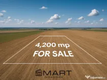 Teren extravilan 4200mp Daia Romana - Alba