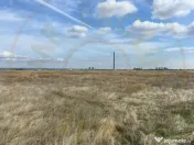 Teren 10.000 mp zona industriala Albota 10 euro mp -Arges 