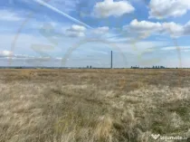 Teren 10.000 mp zona industriala Albota 10 euro mp -Arges