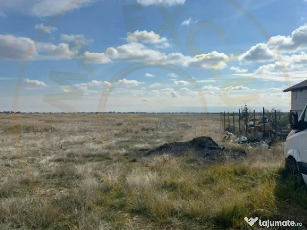 Teren 10.000 mp zona industriala Albota 10 euro mp -Arges