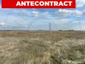 Teren 10.000 mp zona industriala Albota 10 euro mp -Arges 