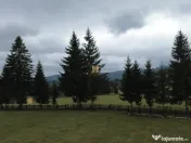 Teren 2804 mp, la munte! In Bucovina – Fundu Moldovei! 